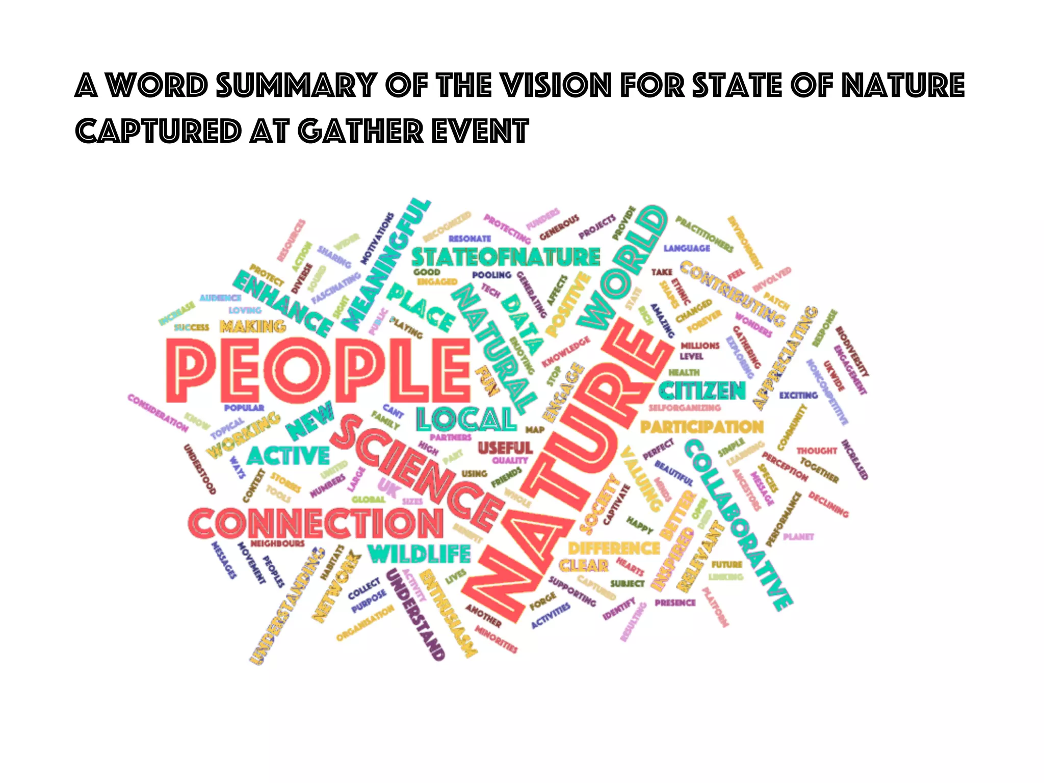 37
a word summary of the vision for State of Nature
captured at gather event
 