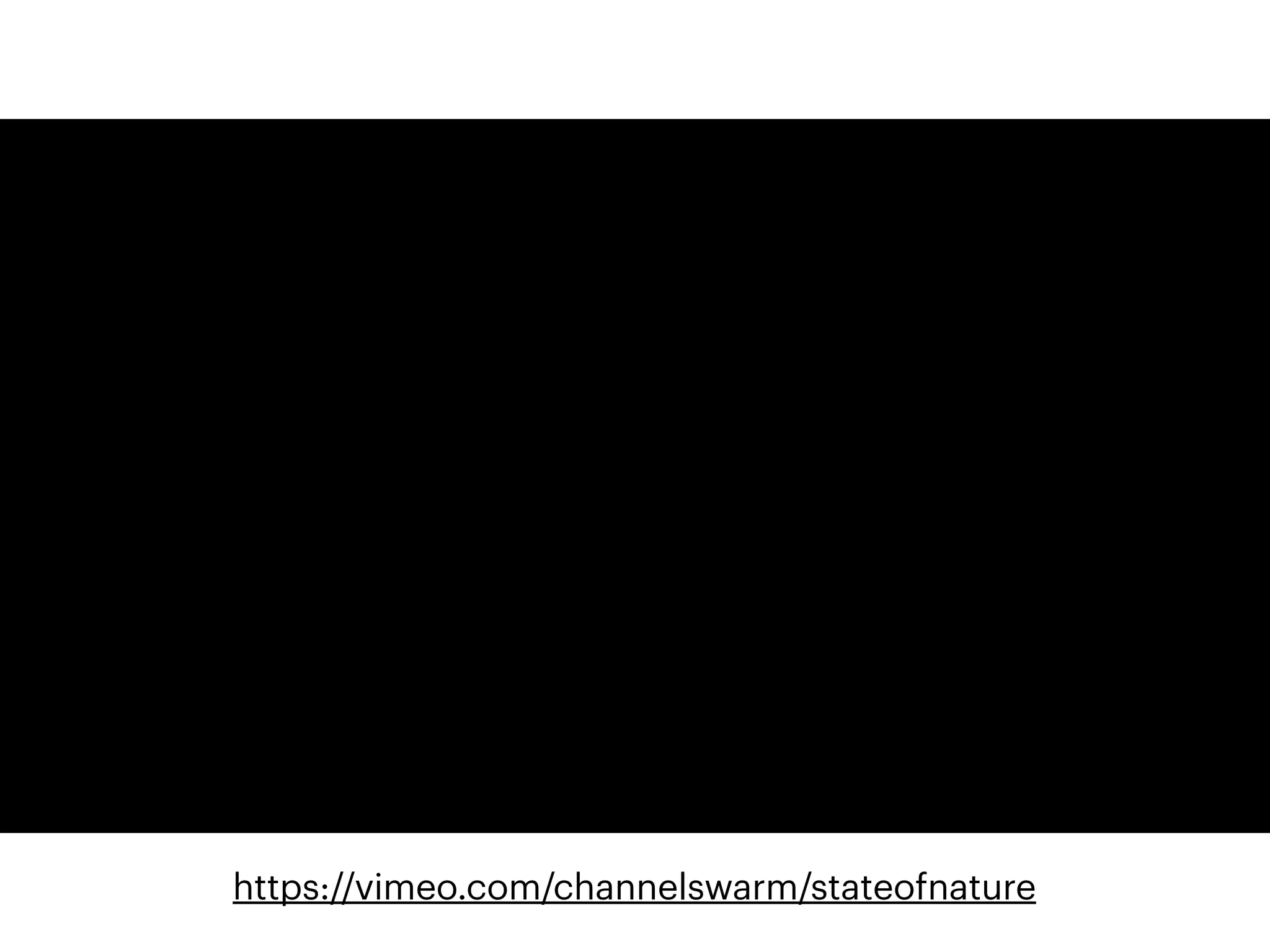 59
https://vimeo.com/channelswarm/stateofnature
 