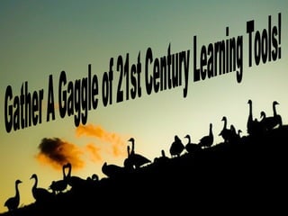 Gather A Gaggle of 21st Century Learning Tools! 