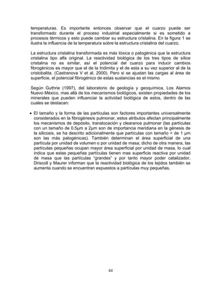 temperaturas. Es importante entonces observar que el cuarzo puede ser
transformado durante el proceso industrial especialmente si es sometido a
procesos térmicos y esto puede cambiar su estructura cristalina. En la figura 1 se
ilustra la influencia de la temperatura sobre la estructura cristalina del cuarzo.

La estructura cristalina transformada es más tóxica o patogénica que la estructura
cristalina tipo alfa original. La reactividad biológica de los tres tipos de sílice
cristalina no es similar, así el potencial del cuarzo para inducir cambios
fibrogénicos es mayor que el de la tridimita y el de esta a su vez superior al de la
cristobalita. (Castranova V et al, 2000). Pero si se ajustan las cargas al área de
superficie, el potencial fibrogénico de estas sustancias es el mismo

Según Guthrie (1997), del laboratorio de geología y geoquímica, Los Alamos
Nuevo México, mas allá de los mecanismos biológicos, existen propiedades de los
minerales que pueden influenciar la actividad biológica de estos, dentro de las
cuales se destacan:

• El tamaño y la forma de las partículas son factores importantes universalmente
  considerados en la fibrogénesis pulmonar, estos atributos afectan principalmente
  los mecanismos de depósito, translocación y clearance pulmonar (las partículas
  con un tamaño de 0.5µm a 2µm son de importancia meridiana en la génesis de
  la silicosis, se ha descrito adicionalmente que partículas con tamaño < de 1 µm
  son las más patogénicas). También determinan el área superficial de una
  partícula por unidad de volumen o por unidad de masa; dicho de otra manera, las
  partículas pequeñas ocupan mayor área superficial por unidad de masa, lo cual
  indica que estas pequeñas partículas tienen mas superficie reactiva por unidad
  de masa que las partículas “grandes” y por tanto mayor poder catalizador.
  Driscoll y Maurer informan que la reactividad biológica de los tejidos también se
  aumenta cuando se encuentran expuestos a partículas muy pequeñas.




                                        44
 