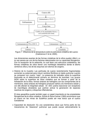 Cuarzo alfa


                                      Calentamiento a 578 °C
            Enfriamiento

                                          Cuarzo beta


                                Cambio en las propiedades físicas y
                                   en la estructura del cristal.




     Calentamiento de 578 a 1470 °C                   Calentamiento > a 1470 °C


                 Tridimita                                            Cristobalita
   Figura 1 Influencia de la temperatura sobre la estructura cristalina del cuarzo
                             (Castranova V et al, 2000).

  Las dimensiones exactas de las formas cristalinas de la sílice pueden diferir y a
  su vez parece ser uno de los factores relacionados con su capacidad fibrogénica.
  Con la excepción de la estisovita, la cual tiene una estructura octahédrica, las
  formas cristalinas de sílice tienen una morfología tetraédrica donde el átomo
  central es sílice y los de las esquinas son átomos de oxígeno.

• Historia de la muestra: Las partículas de cuarzo recientemente fragmentadas
  aumentan su potencial para inducir cambios fibróticos en tejido pulmonar cuando
  se comparan con cuarzo “viejo”. La presencia de radicales sobre la superficie
  fracturada es el determinante primario en términos de toxicidad. Los grupos
  SiOH sobre la superficie de sílice cristalina que se forman a partir de la
  hidratación de la sílice, forman enlaces de hidrógeno con los componentes de la
  membrana, estos enlaces de hidrógeno producen daños a la membrana celular y
  con ello afectan la integridad celular. El –SiO- podría reaccionar con receptores
  de macrófagos alveolares que podrían activar la generación de especies
  reactivas de oxígeno y citoquinas inflamatorias.

  El área geográfica puede también jugar un papel importante en las propiedades
  fibrogénicas de la sílice cristalina. Hnizdo & Sluis-Cremer (1993) encontraron que
  el cuarzo en las minas de Sudáfrica puede ser mas tóxico que el cuarzo
  Canadiense

• Capacidad de disolución: Es una característica clave que forma parte de los
  mecanismos de “clearance” pulmonar que puede causar adicionalmente la



                                                45
 