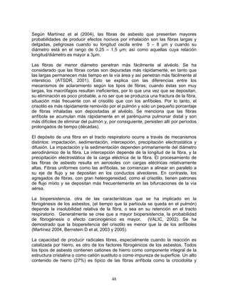 Según Martínez et al (2004), las fibras de asbesto que presentan mayores
probabilidades de producir efectos nocivos por inhalación son las fibras largas y
delgadas, peligrosas cuando su longitud oscila entre 5 – 8 µm y cuando su
diámetro está en el rango de 0,25 – 1,5 µm; así como aquellas cuya relación
longitud/diámetro es mayor a 3µm.

Las fibras de menor diámetro penetran más fácilmente al alvéolo. Se ha
considerado que las fibras cortas son depuradas más rápidamente, en tanto que
las largas permanecen más tiempo en la vía área y así penetran más fácilmente al
intersticio. (ATSDR, 2001). Esto se explica con las diferencias entre los
mecanismos de aclaramiento según los tipos de fibras; cuando éstas son muy
largas, los macrófagos resultan ineficientes, por lo que una vez que se depositan,
su eliminación es poco probable, a no ser que se produzca una fractura de la fibra,
situación más frecuente con el crisotilo que con los anfíboles. Por lo tanto, el
crisotilo es más rápidamente removido por el pulmón y solo un pequeño porcentaje
de fibras inhaladas son depositadas al alvéolo. Se menciona que las fibras
anfíbola se acumulan más rápidamente en el parénquima pulmonar distal y son
más difíciles de eliminar del pulmón y, por consiguiente, persisten allí por períodos
prolongados de tiempo (décadas).

El depósito de una fibra en el tracto respiratorio ocurre a través de mecanismos
distintos: impactación, sedimentación, intercepción, precipitación electrostática y
difusión. La impactación y la sedimentación dependen primariamente del diámetro
aerodinámico de la fibra. La intercepción depende de la longitud de la fibra, y la
precipitación electrostática de la carga eléctrica de la fibra. El procesamiento de
las fibras de asbesto resulta en aerosoles con cargas eléctricas relativamente
altas. Fibras uniformes como las anfíbolas, se comienzan a alinear en paralelo a
su eje de flujo y se depositan en los conductos alveolares. En contraste, los
agregados de fibras, con gran heterogeneidad, como el crisotilo, tienen patrones
de flujo mixto y se depositan más frecuentemente en las bifurcaciones de la vía
aérea.

La biopersistencia, otra de las características que se ha implicado en la
fibrogénesis de los asbestos, (el tiempo que la partícula se queda en el pulmón)
depende la insolubilidad relativa de la fibra, o sea en su retención en el tracto
respiratorio. Generalmente se cree que a mayor biopersistencia, la probabilidad
de fibrogénesis o efecto carcinogénico es mayor. (VALIC, 2002). Se ha
demostrado que la biopersitencia del crisotilo es menor que la de los anfíboles
(Martínez 2004, Bernstein D et al, 2003 y 2005).

La capacidad de producir radicales libres, especialmente cuando la reacción es
catalizada por hierro, es otro de los factores fibrogénicos de los asbestos. Todos
los tipos de asbesto contienen cationes de hierro como componente integral de la
estructura cristalina o como catión sustituto o como impureza de superficie. Un alto
contenido de hierro (27%) es típico de las fibras anfíbola como la crocidolita y



                                         48
 