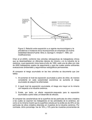 Figura 3. Relación entre exposición a un agente neumoconiógeno y la
      prevalencia e incidencia de la neumoconiosis en empresas con buena
      estabilidad laboral (Fuente: Silva JI, Quiroga V, Amado F, 1995, con
      modificaciones)

Chen et al (2005), conformó tres cohortes retrospectivas de trabajadores chinos
que se desempañaban en diferentes labores de minería y en la industria de la
cerámica, cuya exposición inicia hacia el año de 1950, cada una de ellas con más
de 4000 trabajadores sujetos de seguimiento y para las cuales existía suficientes
evaluaciones ambientales y seguimientos radiográficos permanentes.

Al comparar el riesgo acumulado en las tres cohortes se documenta que (ver
tabla):

   1. Al aumentar el nivel de exposición acumulada a polvo de sílice, de manera
      consistente en cada subactividad económica se aumenta el riesgo
      acumulado de adquirir la enfermedad.

   2. A igual nivel de exposición acumulada, el riesgo era mayor en la minería
      con respecto a la industria cerámica.

   3. Existe, por tanto, un efecto exposición-respuesta para la exposición
      acumulada a polvo total y el desarrollo de silicosis.

Al comparar las características de la superficie de las partículas de sílice cristalina
a las cuales se exponen los trabajadores en las actividades de la cerámica, así
como en la minería mostró que la superficie ocluida por la arcilla era de 45% en las
partículas de sílice cristalina obtenidas en muestras de la industria cerámica. Por
contraste, dicho porcentaje, fue de 18% y 13% para las muestras provenientes de


                                          66
 