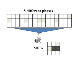 5 different phases
MIP =
 