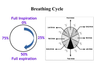 Breathing Cycle
Full Inspiration
0%
50%
Full expiration
25%75%
 