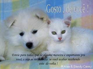 Envie para todos que de alguma maneira é importante pra você, e não se surpreenda  se você acabar recebendo  este  de volta ! Gosto , de você ! 