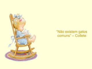 “ Não existem gatos comuns” – Collete 