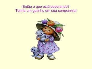 Então o que está esperando? Tenha um gatinho em sua companhia! 