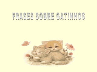 FRASES SOBRE GATINHOS 