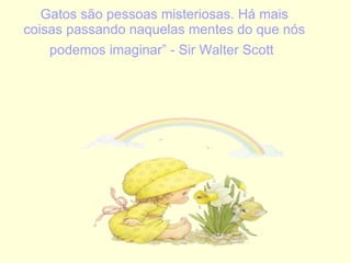 Gatos são pessoas misteriosas. Há mais coisas passando naquelas mentes do que nós podemos imaginar” - Sir Walter Scott   