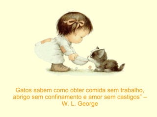 Gatos sabem como obter comida sem trabalho, abrigo sem confinamento e amor sem castigos” – W. L. George 