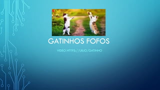 GATINHOS FOFOS
VIDEO HTTPS://UII.IO/GATINHO
 