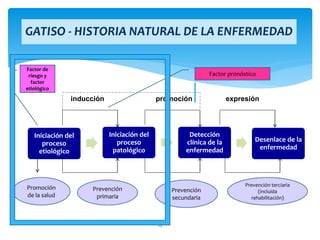 25
GATISO - HISTORIA NATURAL DE LA ENFERMEDAD
Iniciación del
proceso
etiológico
Iniciación del
proceso
patológico
Detección
clínica de la
enfermedad
Desenlace de la
enfermedad
Promoción
de la salud
Prevención
primaria
Prevención
secundaria
Prevención terciaria
(incluida
rehabilitación)
Factor de
riesgo y
factor
etiológico
inducción promoción expresión
Factor pronóstico
 