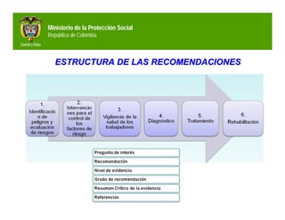 Ministerio de la Protección Social
República de Colombia



   ESTRUCTURA DE LAS RECOMENDACIONES
 