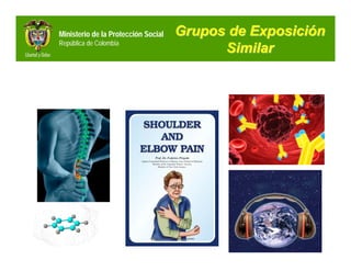 Ministerio de la Protección Social   Grupos de Exposición
República de Colombia
                                           Similar
 