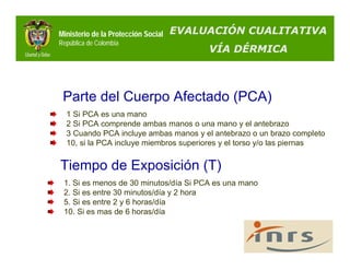 Ministerio de la Protección Social   EVALUACIÓN CUALITATIVA
República de Colombia
                                          VÍA DÉRMICA



 Parte del Cuerpo Afectado (PCA)
  1 Si PCA es una mano
  2 Si PCA comprende ambas manos o una mano y el antebrazo
  3 Cuando PCA incluye ambas manos y el antebrazo o un brazo completo
  10, si la PCA incluye miembros superiores y el torso y/o las piernas


Tiempo de Exposición (T)
 1. Si es menos de 30 minutos/día Si PCA es una mano
 2. Si es entre 30 minutos/día y 2 hora
 5. Si es entre 2 y 6 horas/día
 10. Si es mas de 6 horas/día
 