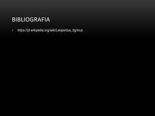 BIBLIOGRAFIA
• https://pt.wikipedia.org/wiki/Leopardus_tigrinus
 