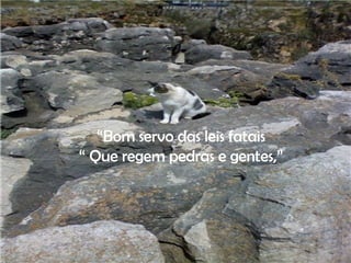 “ Bom servo das leis fatais “  Que regem pedras e gentes,” 