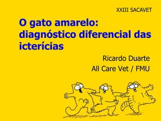 XXIII SACAVET

O gato amarelo:
diagnóstico diferencial das
icterícias
                  Ricardo Duarte
              All Care Vet / FMU
 