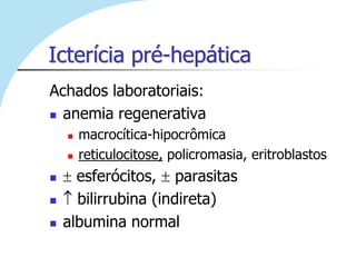 Icterícia pré-hepática
Achados laboratoriais:
 anemia regenerativa

       macrocítica-hipocrômica
       reticulocitose, policromasia, eritroblastos
     esferócitos, parasitas
     bilirrubina (indireta)
   albumina normal
 