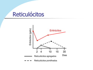 Reticulócitos

      Eritrócitos (gato)                        Eritrócitos
                                             

                                                




                                 2   4        10      15       30
                               Reticulócitos agregados         Dias

                               Reticulócitos pontilhados
 