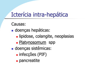Icterícia intra-hepática
Causas:
 doenças hepáticas:

    lipidose, colangite, neoplasias

    Platynosomum spp

 doenças sistêmicas:

    infecções (PIF)

    pancreatite
 