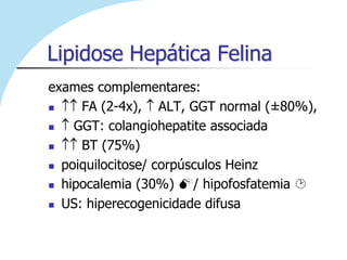 Lipidose Hepática Felina
exames complementares:
    FA (2-4x), ALT, GGT normal (±80%),
   GGT: colangiohepatite associada
    BT (75%)
 poiquilocitose/ corpúsculos Heinz

 hipocalemia (30%) / hipofosfatemia 

 US: hiperecogenicidade difusa
 
