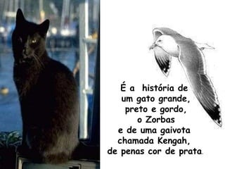 É a  história de um gato grande, preto e gordo, o Zorbas e de uma gaivota  chamada Kengah, de penas cor de prata .  