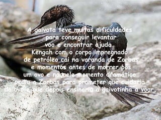 A gaivota teve muitas dificuldades para conseguir levantar voo e encontrar ajuda.  Kengah com o corpo impregnado de petróleo cai na varanda de Zorbas e momentos antes de morrer pôs um ovo e naquele momento dramático  pediu a Zorbas para prometer que cuidaria do ovo e que depois ensinaria a gaivotinha a voar.   