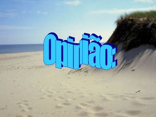 Opinião: 