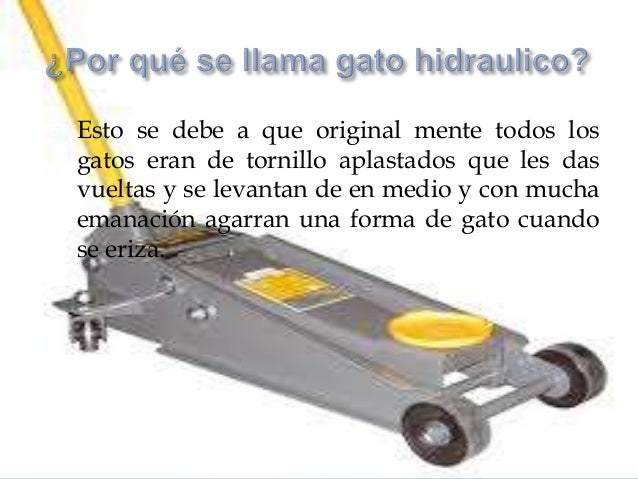 Gato hidráulico x d