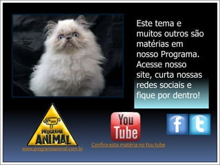 Este tema e
                                               muitos outros são
                                               matérias em
                                               nosso Programa.
                                               Acesse nosso
                                               site, curta nossas
                                               redes sociais e
                                                  www.programaanimal.com.br

                                               fique por dentro!




                            Confira esta matéria no You tube
www.programaanimal.com.br
 