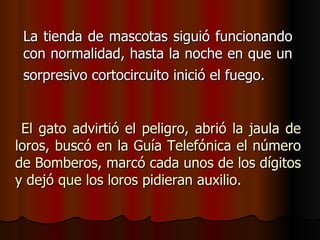 La tienda de mascotas siguió funcionando con normalidad, hasta la noche en que un sorpresivo cortocircuito inició el fuego.   El gato advirtió el peligro, abrió la jaula de loros, buscó en la Guía Telefónica el número de Bomberos, marcó cada unos de los dígitos y dejó que los loros pidieran auxilio. 