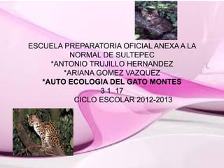 ESCUELA PREPARATORIA OFICIAL ANEXA A LA
          NORMAL DE SULTEPEC
     *ANTONIO TRUJILLO HERNANDEZ
        *ARIANA GOMEZ VAZQUEZ
   *AUTO ECOLOGIA DEL GATO MONTES
                 3 1 17
           CICLO ESCOLAR 2012-2013
 