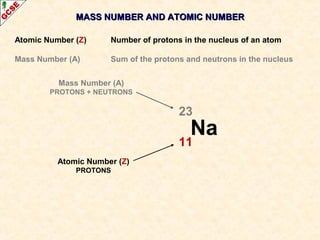 MASS NUMBER AANNDD AATTOOMMIICC NNUUMMBBEERR 
Atomic Number (Z) Number of protons in the nucleus of an atom 
Mass Number (A) Sum of the protons and neutrons in the nucleus 
23 
11 
Na 
Mass Number (A) 
PROTONS + NEUTRONS 
Atomic Number (Z) 
PROTONS 
 