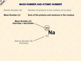 MASS NUMBER AANNDD AATTOOMMIICC NNUUMMBBEERR 
Atomic Number (Z) Number of protons in the nucleus of an atom 
Mass Number (A) Sum of the protons and neutrons in the nucleus 
23 
11 
Na 
Mass Number (A) 
PROTONS + NEUTRONS 
Atomic Number (Z) 
PROTONS 
 