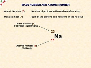 MASS NUMBER AANNDD AATTOOMMIICC NNUUMMBBEERR 
Atomic Number (Z) Number of protons in the nucleus of an atom 
Mass Number (A) Sum of the protons and neutrons in the nucleus 
23 
11 
Na 
Mass Number (A) 
PROTONS + NEUTRONS 
Atomic Number (Z) 
PROTONS 
 
