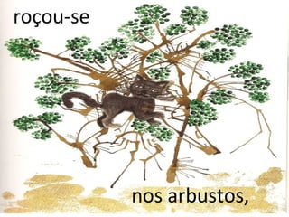 roçou-se




           nos arbustos,
 