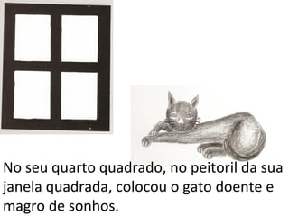 No seu quarto quadrado, no peitoril da sua
janela quadrada, colocou o gato doente e
magro de sonhos.
 