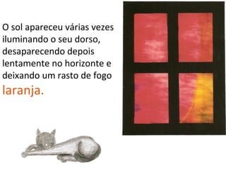 O sol apareceu várias vezes
iluminando o seu dorso,
desaparecendo depois
lentamente no horizonte e
deixando um rasto de fogo
laranja.
 