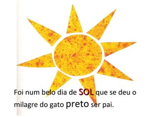 Foi num belo dia de SOL que se deu o
milagre do gato preto ser pai.
 