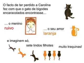 O facto de ter perdido a Carolina
fez com que o gato de bigodes
encaracolados encontrasse…


… o menino
ruivo                       … o seu amor
                            laranja
  e imaginem só,
              sete lindos filhotes    muito traquinas!
 