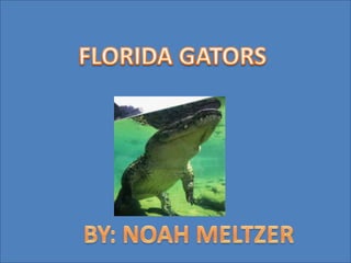 FLORIDA GATORS BY: NOAH MELTZER 