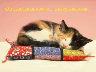 NÃO ESQUEÇA DE CURTIR...  E DEPOIS RELAXAR...   