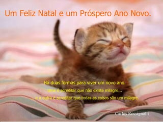 Um Feliz Natal e um Próspero Ano Novo. Há duas formas para viver um novo ano. Uma é acreditar que não existe milagre... ... e a outra é acreditar que todas as coisas são um milagre. Carlos Rossignolli 