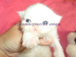 CUIDADOS COM O SEU ANIMAL 