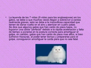 La leyenda de las 7 vidas (9 vidas para los anglosajones) en los gatos, se debe a que muchas veces llegan a sobrevivir a caídas realmente graves, esto se debe a la maravillosa capacidad que tienen de darse vuelta en el aire y aterrizar en cuatro patas. Se dice que algunos gatos que han caído de pisos bajos, no lograron una caída "perfecta" debido a la rápida aceleración y falta de tiempo a ponerse en la postura correcta para amortiguar el golpe, en cambio, gatos que han caído de pisos mas altos, si bien sufrieron fracturas, al poder tener tiempo y prepararse para el golpe, consiguieron amortiguar la caída para que no sea fatal. 