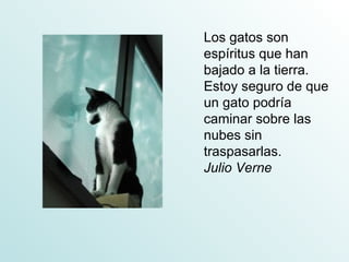Los gatos son
espíritus que han
bajado a la tierra.
Estoy seguro de que
un gato podría
caminar sobre las
nubes sin
traspasarlas.
Julio Verne
 