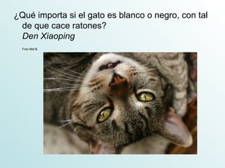 ¿Qué importa si el gato es blanco o negro, con tal
 de que cace ratones?
 Den Xiaoping
  Foto Mel B.
 