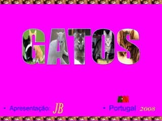 Apresentação: G A T O S JB Portugal 2008 